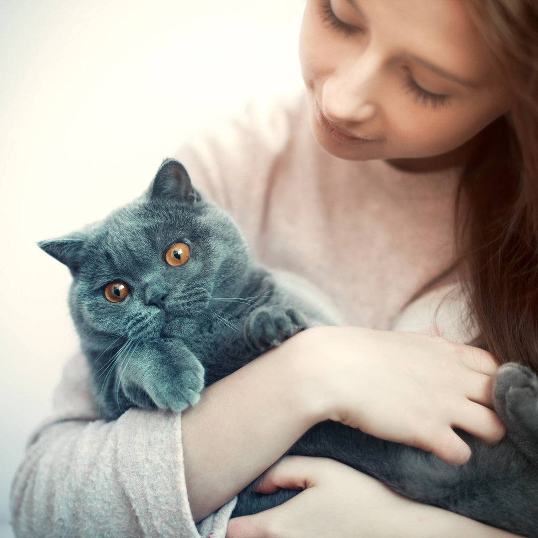 Close-up of girl hugging her cat